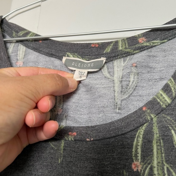 PLEIONE top cactus - Picture 2 of 4